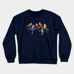 Backyard Birds Bird Watching Watcher on a Branch Birder Crewneck Sweatshirt